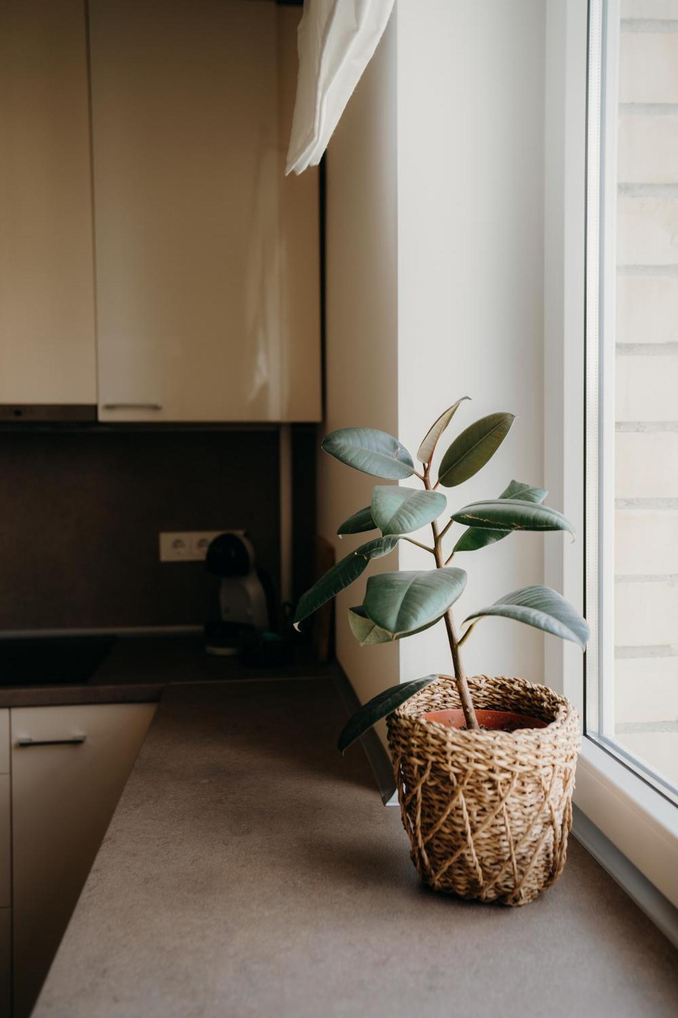 Apartment Stories Isskirtiniai 7 Vietu Apartamentai Birstone